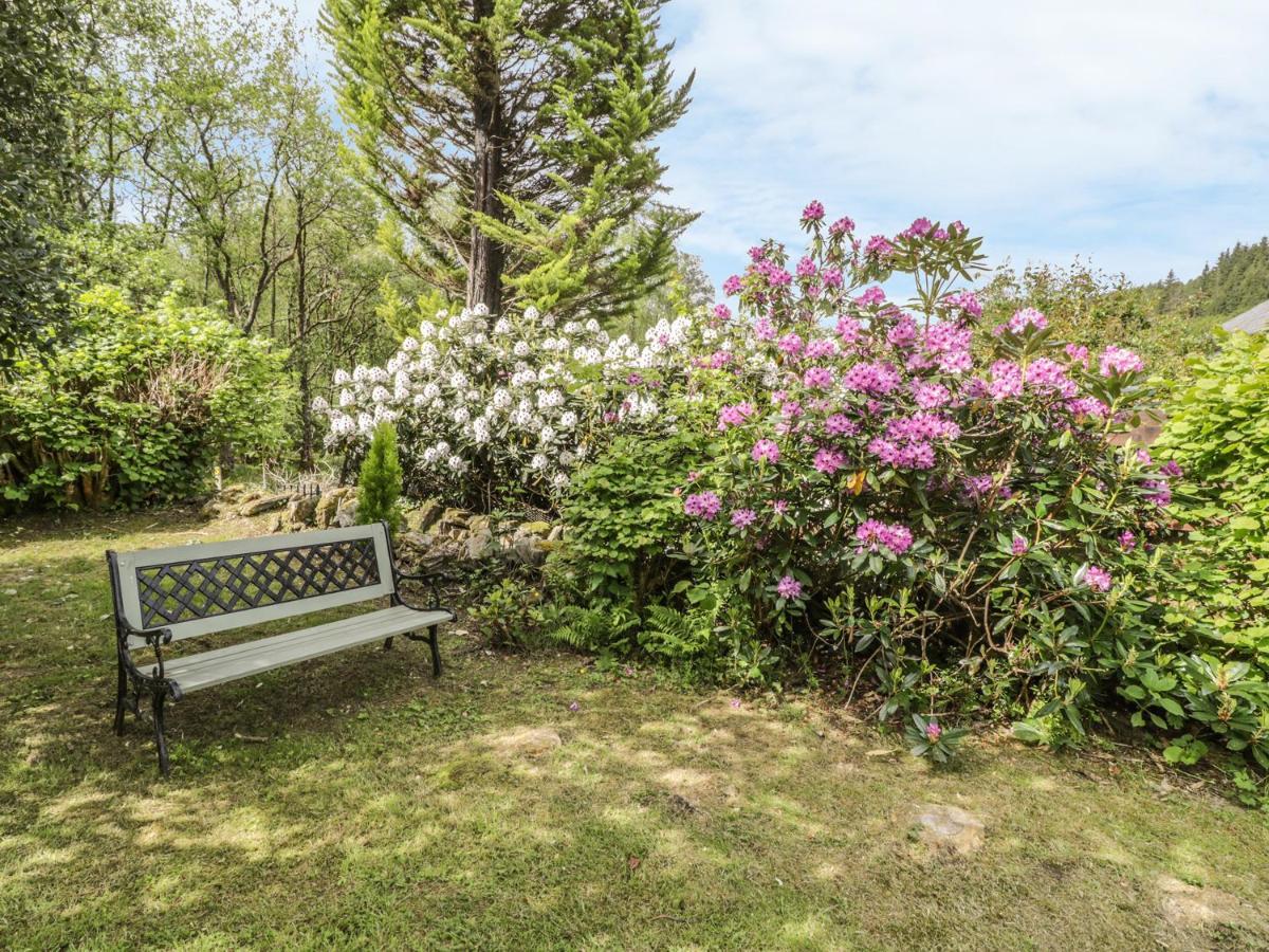 Bron Olau Villa Gellilydan Bagian luar foto